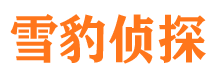 高坪市婚姻出轨调查